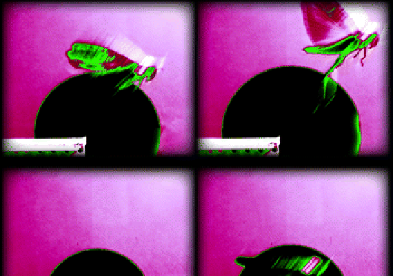 locust jumping sequence to an expanding disc